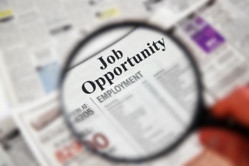 Home Broke Ass Mom Job Ideas Work From Home Jobs